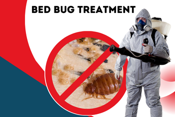 bed bug treatment service image